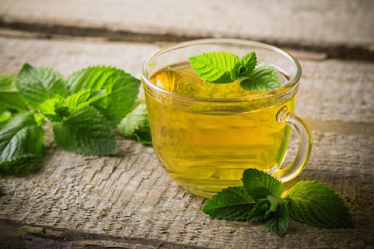 Mint Water Benefits: ઉનાળામાં રોજ પીવો ફુદીનાનું પાણી, સ્વાસ્થ્યને મળશે અદ્ભુત ફાયદા https://www.pravinews.com/lifestyle/health-fitness/mint-water-benefits-drink-mint-water-daily-in-summer-you-will-get-amazing-health-benefits-5310