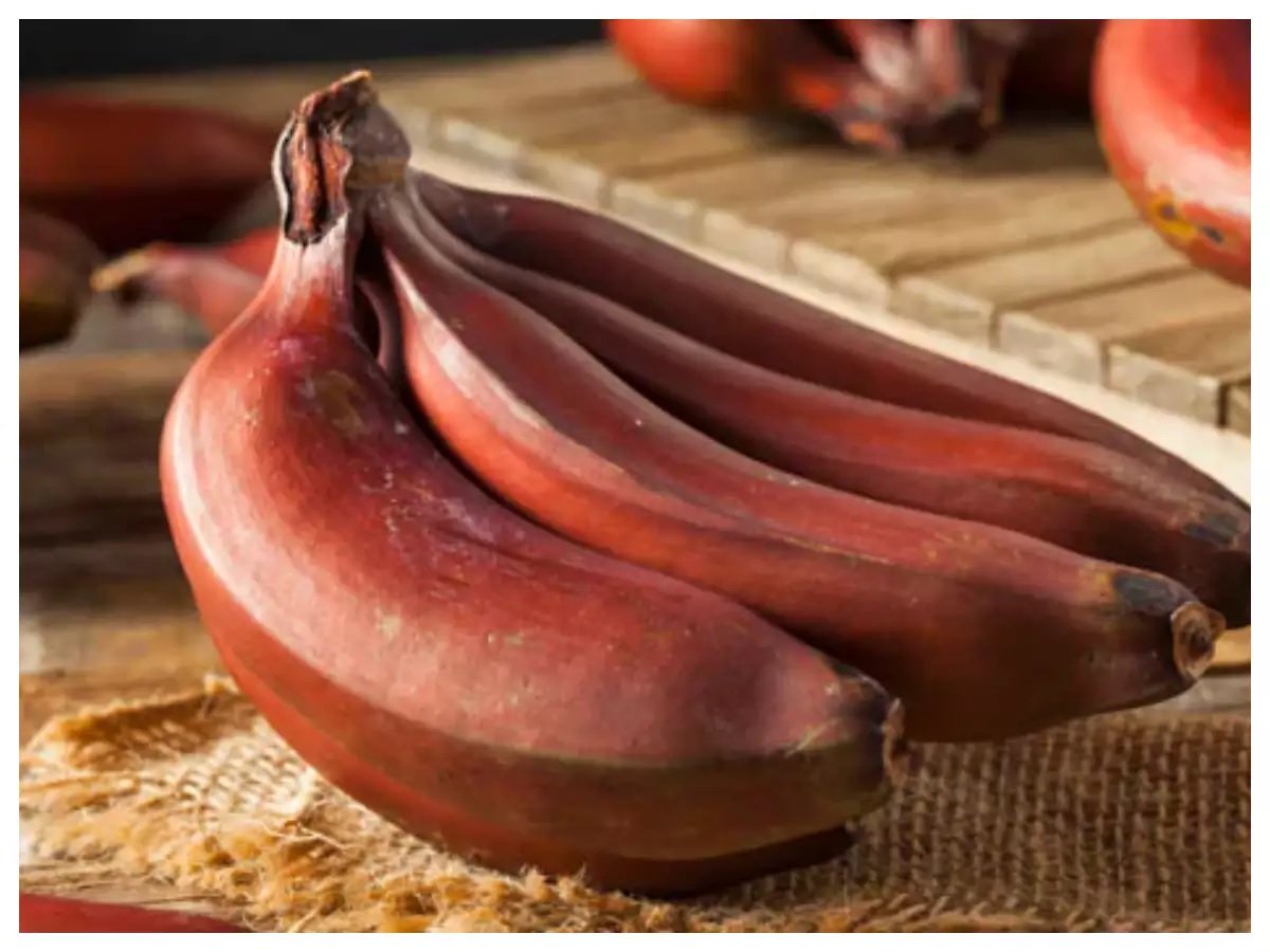 Red Banana Benefits: લાલ કેળું ખાવાથી ઘટાડી શકાય છે અનેક બીમારીઓનો ખતરો, જાણો ફાયદા https://www.pravinews.com/lifestyle/health-fitness/red-banana-benefits-eating-red-banana-can-reduce-the-risk-of-many-diseases-know-the-benefits-3273