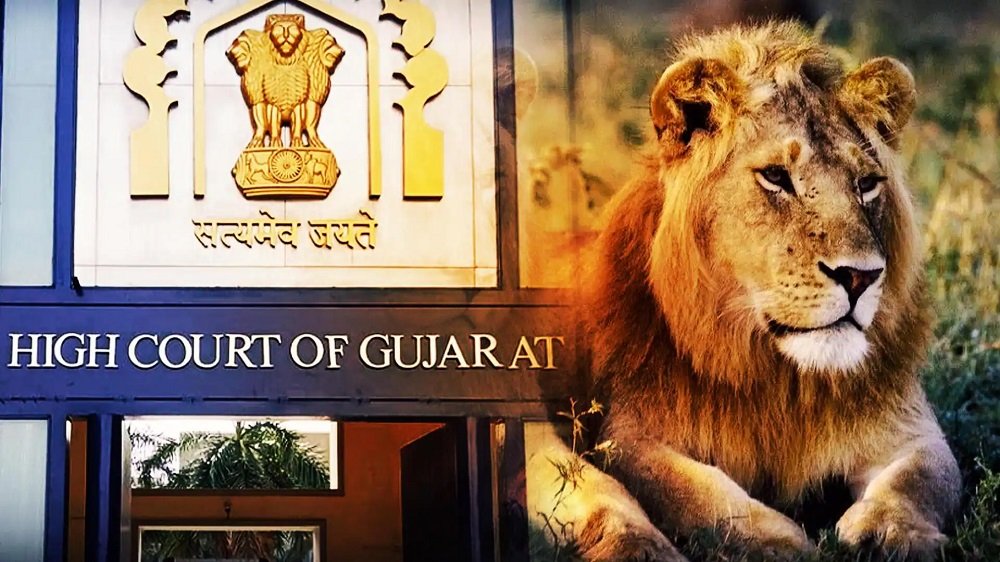 Case of death of three lions : ગુજરાત હાઈકોર્ટે રેલવે અને વન વિભાગને ફટકાર લગાવી આપ્યો આવો આદેશ https://www.pravinews.com/gujarat-news/case-of-death-of-three-lions-gujarat-high-court-reprimanded-the-railway-and-forest-department-for-this-order-4388