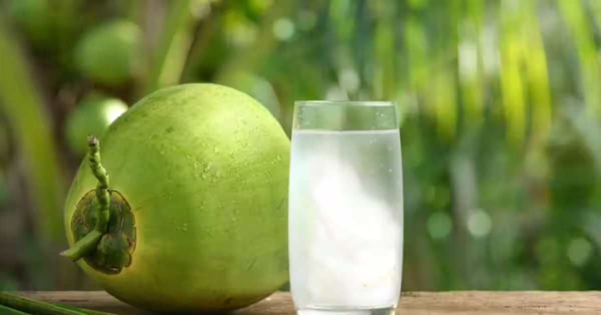 Best Time to Drink Coconut Water: જાણો નારિયેળ પાણી પીવાનો સમય કયો છે સૌથી બેસ્ટ, અને તેના થી શરીર પર શું પડે છે અસર https://www.pravinews.com/lifestyle/health-fitness/best-time-to-drink-coconut-water-empty-stomach-after-workout-or-before-sleep-7319