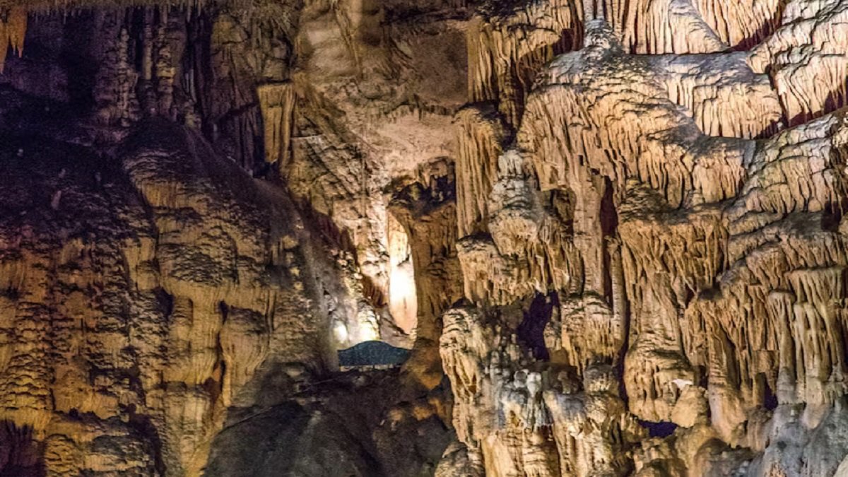 Mysterious Cave : ગુફા સુધી પહોંચવું ખૂબ જ મુશ્કેલ હતું,વૈજ્ઞાનિકો અંદર પહોંચ્યા તો આ નજારો જોઈને તેમના પગ નીચેથી જમીન સરકી ગઈ https://www.pravinews.com/ajab-gajab/mysterious-cave-it-was-very-difficult-to-reach-the-cave-when-the-scientists-reached-inside-seeing-this-view-the-ground-slipped-under-their-feet-6364