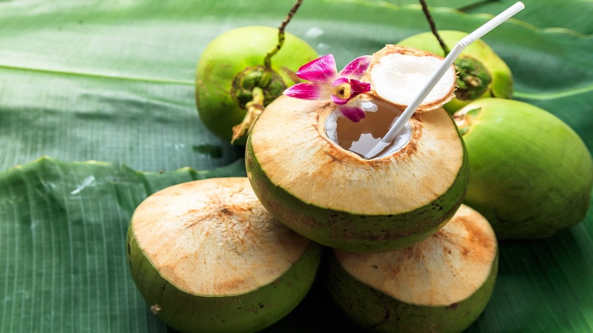 Coconut Water : કિડનીની પથરી માટે નારિયેળ પાણી ખૂબ જ ફાયદાકારક છે, તેને રોજ પીવાથી મળે છે આ ફાયદા. https://www.pravinews.com/lifestyle/health-fitness/benefits-of-coconut-water-for-kidney-stone-10054