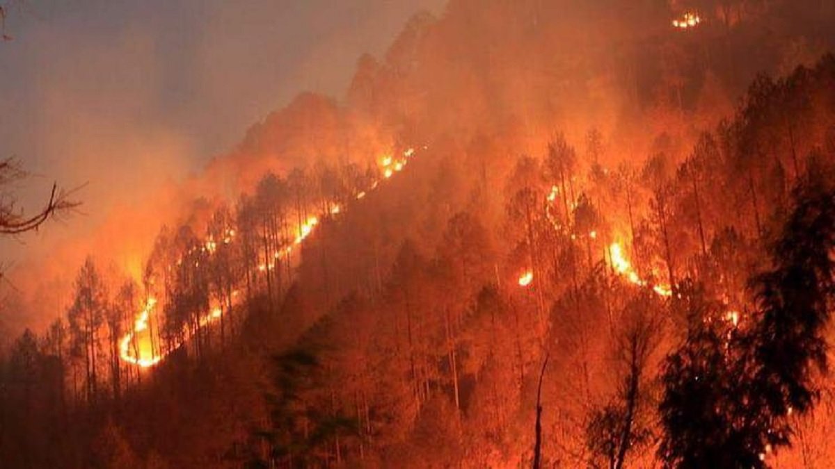 Uttarakhand Forest Fire: ઉત્તરાખંડમાં જંગલની આગ થઇ બેકાબુ, આજે મુખ્યમંત્રી કરશે સમીક્ષા બેઠક https://www.pravinews.com/world-news-in-gujarati/uttarakhand-forest-fire-the-forest-fire-in-uttarakhand-is-uncontrollable-the-chief-minister-will-hold-a-review-meeting-today-6213