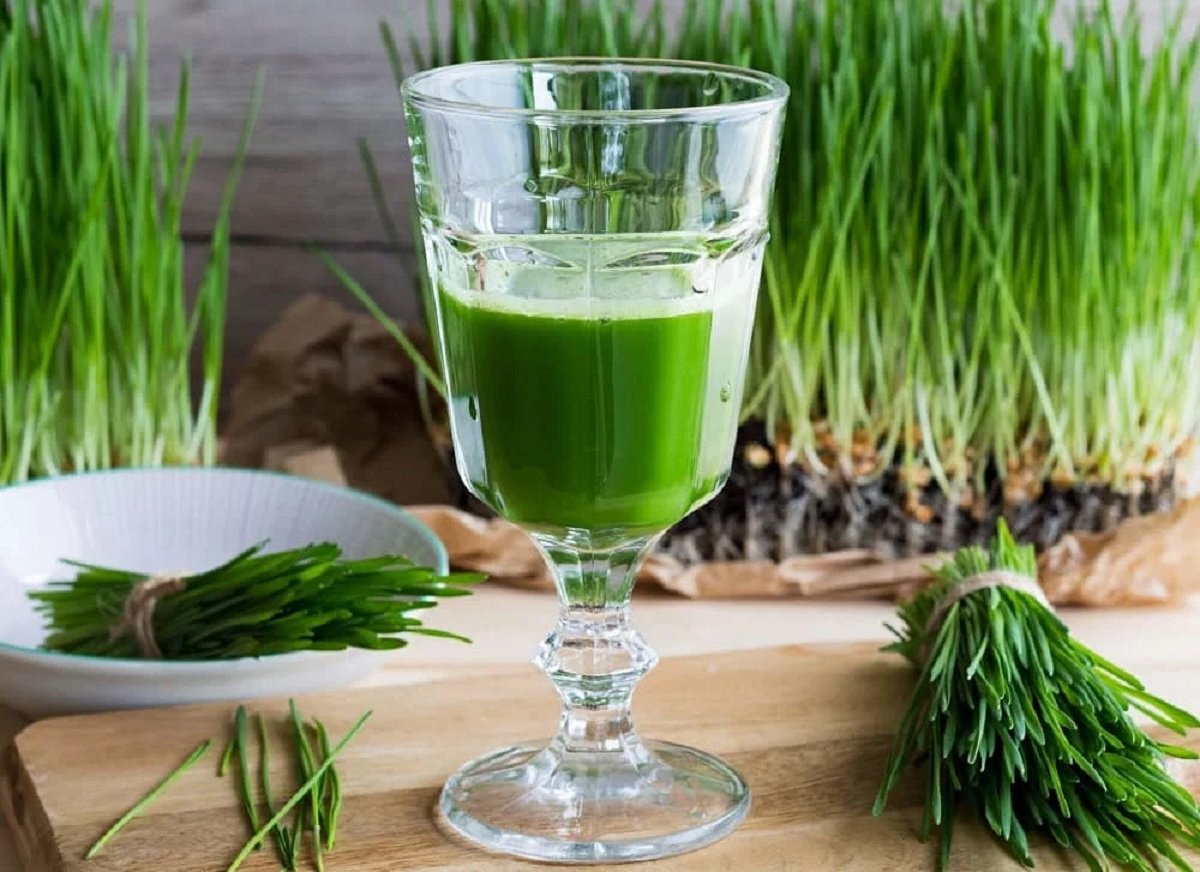 Wheatgrass Juice Benefits: આ ઘાસનું જ્યુસ કરશે તમને હાઈ યુરિક એસિડ નિયંત્રિત કરવામાં મદદ, જાણો તેને કેવી રીતે પીવો https://www.pravinews.com/lifestyle/health-fitness/how-to-control-high-uric-acid-wheatgrass-juice-benefits-and-uses-in-gujarati-7917