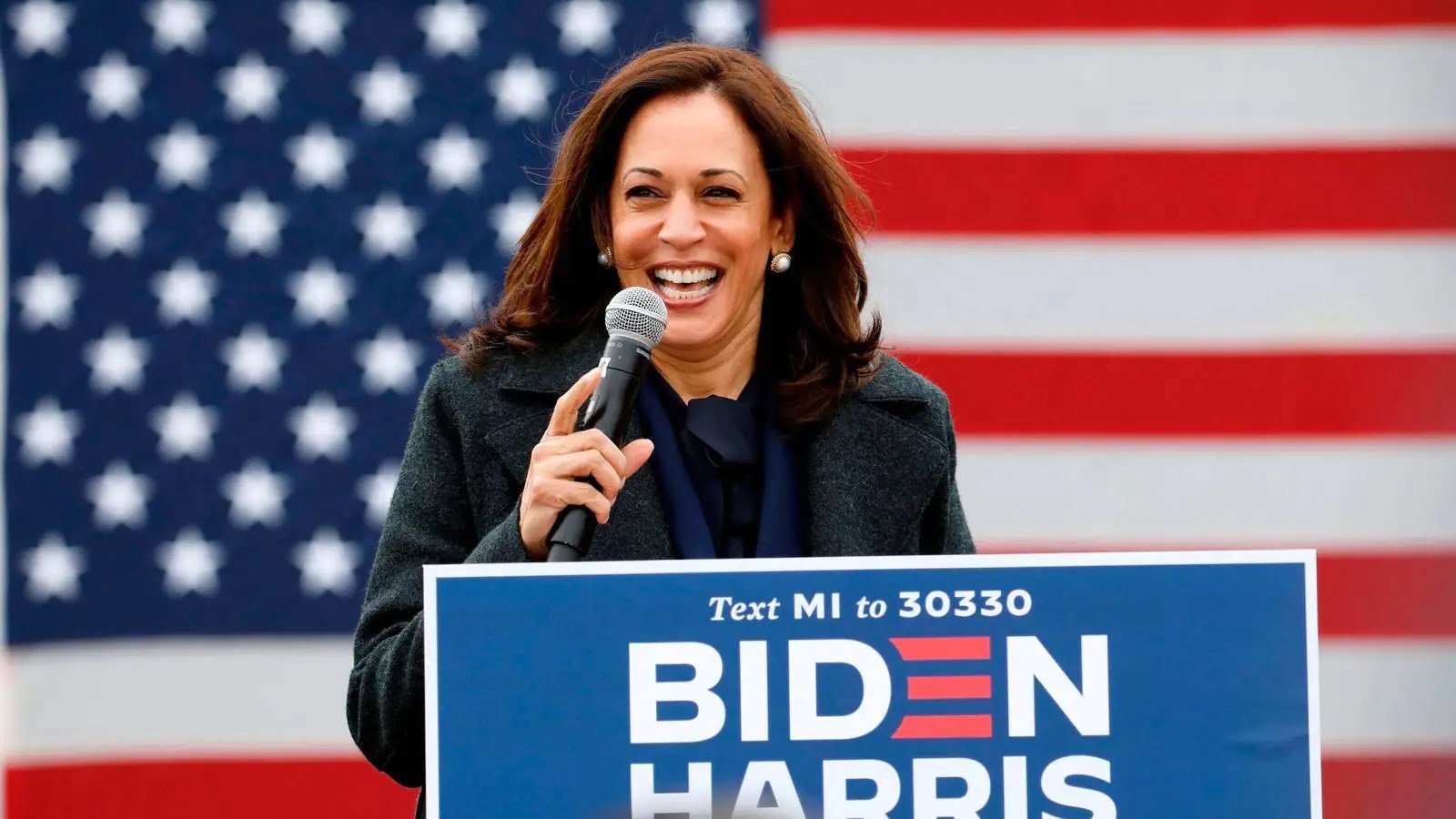 President Kamala Harris : ઉપરાષ્ટ્રપતિ કમલા હેરિસે ભારતના લોકો વિશે કહ્યું, અમેરિકન ચૂંટણી પ્રક્રિયામાં.... https://www.pravinews.com/international-news/america-greater-representation-of-indians-in-the-american-election-process-vice-president-kamala-harris-said-this-8464