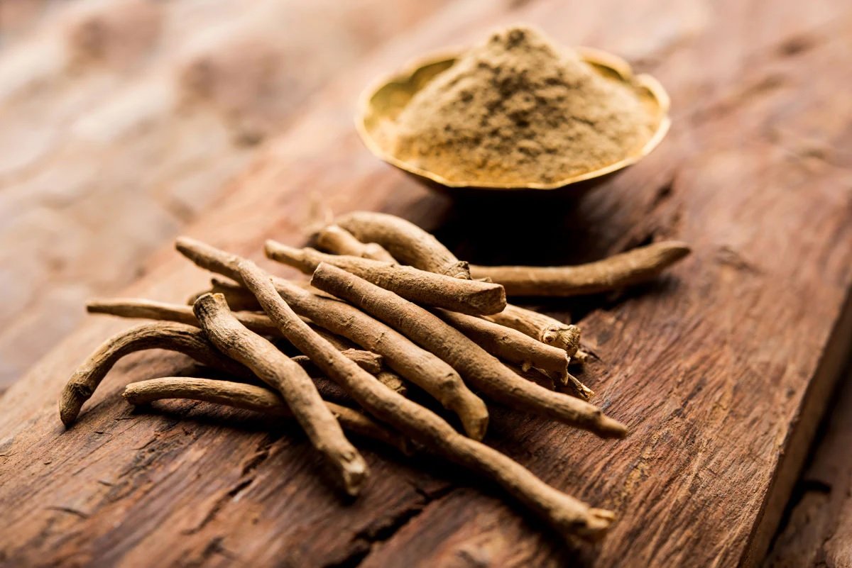 Benefits of Ashwagandha: ગરમ દૂધમાં અશ્વગંધાને ભેળવીને પીવાથી થાય છે જોરદાર ફાયદાઓ, જાણીને તમે પણ થઈ જશો આશ્ચર્યચકિત https://www.pravinews.com/lifestyle/health-fitness/benefits-of-ashwagandha-with-lukewarm-milk-ashwagandha-8594