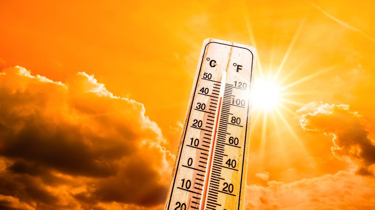 Heat Wave Alert : બાપ રે! ઉત્તર ભારત પાંચ દિવસ સુધી ગરમી પથારી ફેરવશે, આ રાજ્યોમાં તાપમાન 46 ડિગ્રીને પાર જય શકે છે https://www.pravinews.com/world-news-in-gujarati/weather-update-heat-wave-alert-for-north-india-on-five-days-in-may-8458