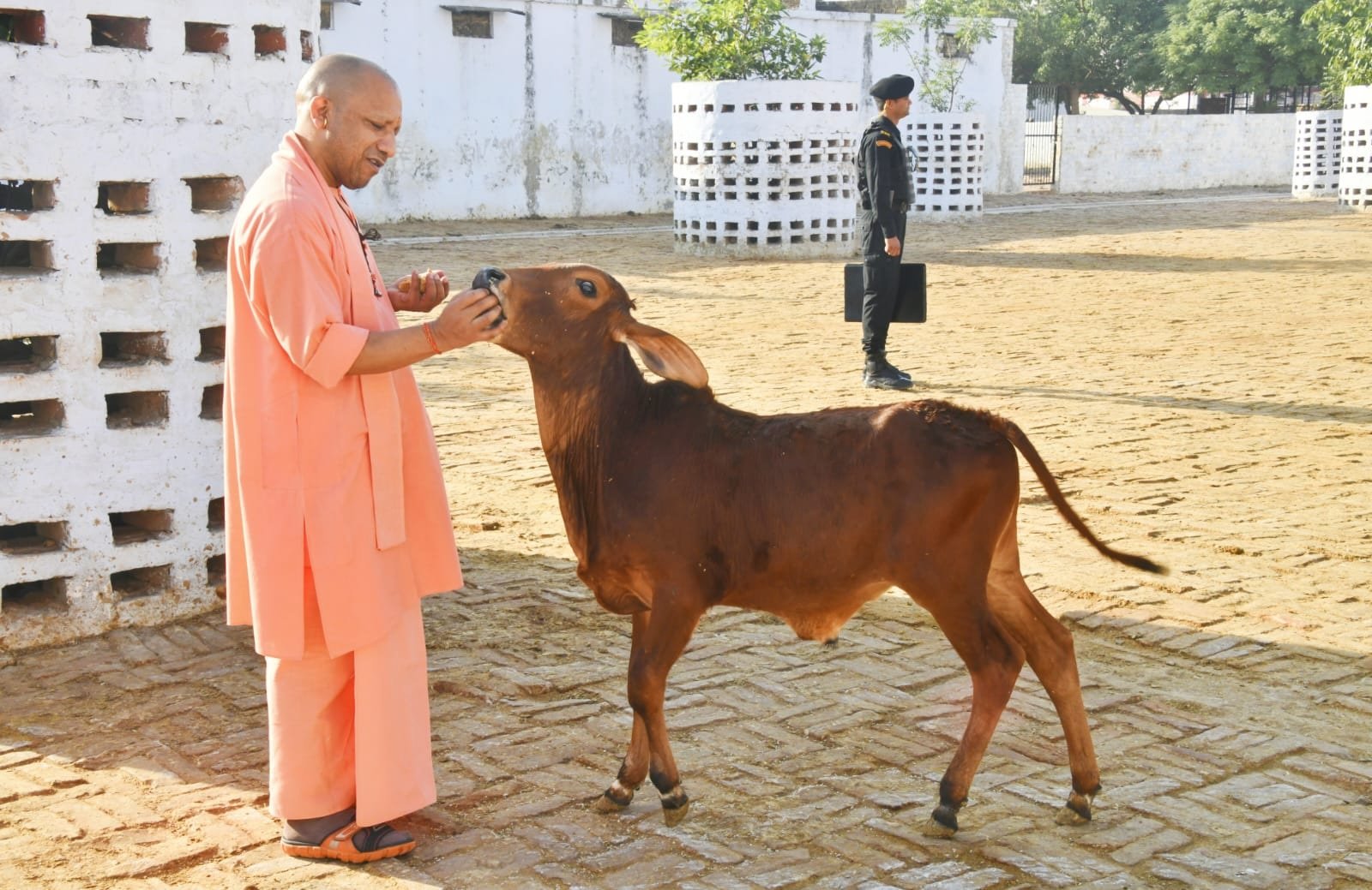 CM Yogi: CM યોગીએ આપ્યું માણસાઈનું ઉદાહરણ, ભારે વરસાદ વચ્ચે પણ કર્યું આવું મહાન કામ https://www.pravinews.com/uncategorized/gorakhpur-cm-yogi-adityanath-cow-service-heavy-rain-visited-cowshed-fed-jaggery-own-hands-ann-15856