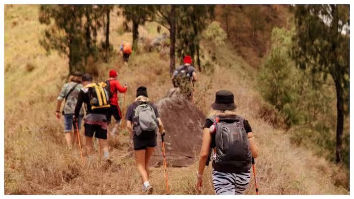 Trekking Tips : પહેલી વાર જઈ રહ્યા છો ટ્રેકિંગ કરવા? તો ધ્યાન માં રાખો આ મહત્વપૂર્ણ ટીપ્સ https://www.pravinews.com/travel-news/first-time-trekking-make-sure-to-know-these-tips-13461