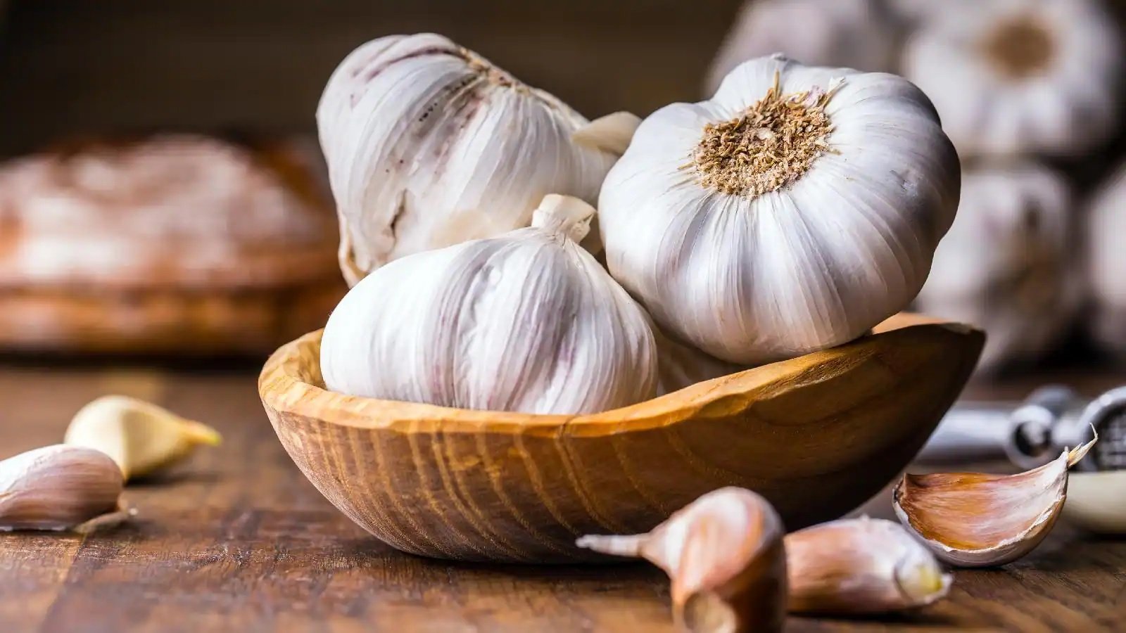 How to Eat Garlic : આ રીતે લસણનો ઉપયોગ ડાયાબિટીસની સાથે સાથે હાઈ કોલેસ્ટ્રોલમાં પણ ફાયદાકારક છે https://www.pravinews.com/lifestyle/health-fitness/how-to-eat-garlic-to-lower-blood-sugar-level-and-high-cholesterol-15213