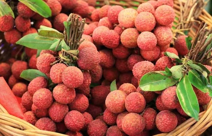 Litchi Health Benefits: ઉનાળામાં લીચી ખાવાના છે અદ્ભુત ફાયદા, તમે રહેશો એકદમ ચુસ્ત દુરુસ્ત https://www.pravinews.com/lifestyle/health-fitness/litchi-health-benefits-help-protect-your-damage-cells-inflammation-stress-aging-and-pollution-12531