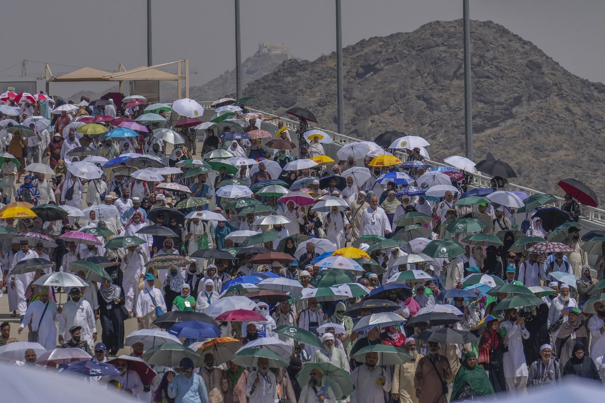 Hajj News: કાળઝાળ ગરમીના કારણે હજ દરમિયાન 98 ભારતીયોના મોત https://www.pravinews.com/international-news/several-indians-died-of-natural-causes-during-hajj-says-foreign-ministry-14277