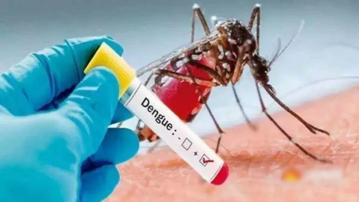 Dengue: ડેન્ગ્યુએ કહેર મચાવ્યો, અચાનક મળી આવ્યા 251 દર્દી, જો આ 3 લક્ષણો દેખાય તો સાવધાન! https://www.pravinews.com/world-news-in-gujarati/dengue-251-dengue-patients-found-in-indore-31783