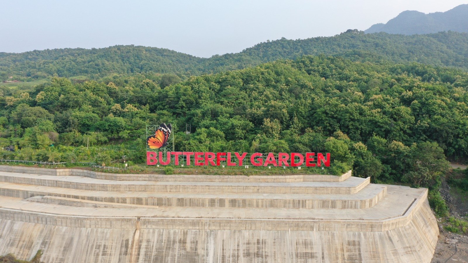 Butterfly Garden: વિશ્વભરના પ્રવાસીઓનું આકર્ષણનું કેન્દ્ર બન્યું સ્ટેચ્યુ ઓફ યુનિટીનું બટરફ્લાય ગાર્ડન, જોવા મળશે 70 વિવિધ પ્રજાતિ https://www.pravinews.com/gujarat-news/the-butterfly-garden-of-the-statue-of-unity-has-become-a-center-of-attraction-for-tourists-from-all-over-the-world-70-different-species-will-be-seen-33605