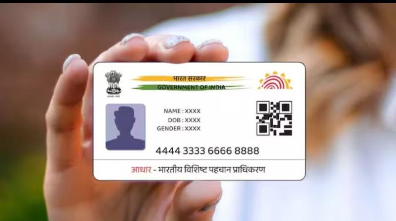 ક્યારેય વિચાર્યું છે કે કેટલા રંગના હોય છે Aadhaar Card ? જાણો શું છે ક્યા રંગનો અર્થ https://www.pravinews.com/business/aadhaar-card-types-of-aadhaar-card-blue-white-aadhaar-41553