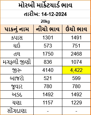 મોરબી માર્કેટ યાર્ડ આજના ભાવ | Morbi APMC Market Price Today https://www.pravinews.com/gujarat-news/morbi-apmc-market-price-today-70480