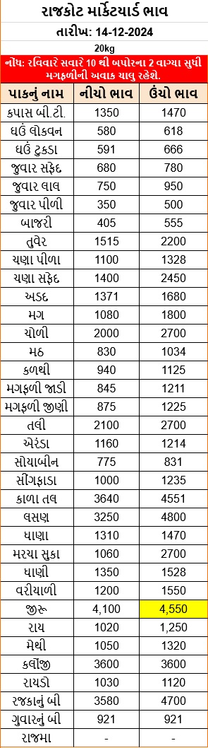 રાજકોટ માર્કેટ યાર્ડ આજના ભાવ | Rajkot APMC Market Price Today - 14-12-2024 https://www.pravinews.com/gujarat-news/rajkot-apmc-market-price-today-live-updates-69842