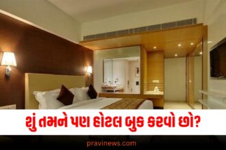 શું તમને પણ હોટલ બુક કરવો છો? તો આ વાંચી લેજો બાકી નુકસાન થશે https://www.pravinews.com/travel-news/bastar-travels-do-not-forget-these-things-during-bastar-trip-39889