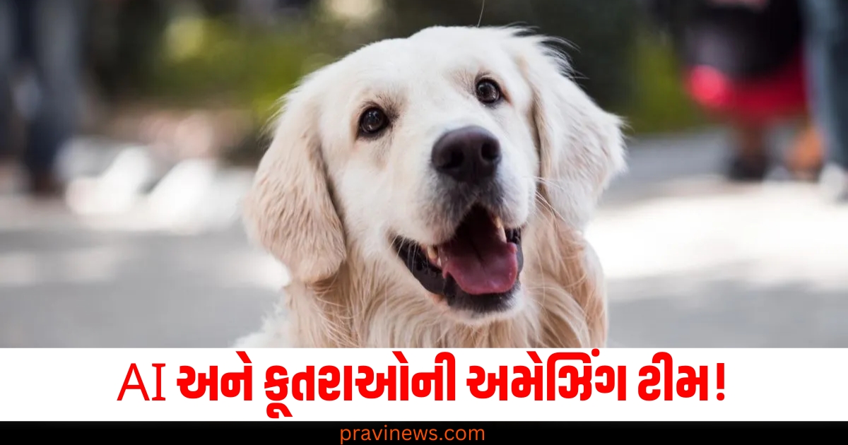 AI (Artificial Intelligence), કૂતરાઓ (Dogs), અમેઝિંગ ટીમ (Amazing team), ખતરનાક કેન્સર (Dangerous cancers), સૂંઘીને ઓળખી શકશો (Can detect by smell),