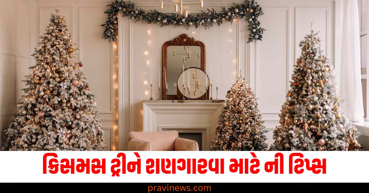 ક્રિસમસ ટ્રી શણગાર ટિપ્સ, Best tips for decorating Christmas tree, ક્રિસમસ ટ્રી ડેકોરેશન, Christmas tree decoration ideas,