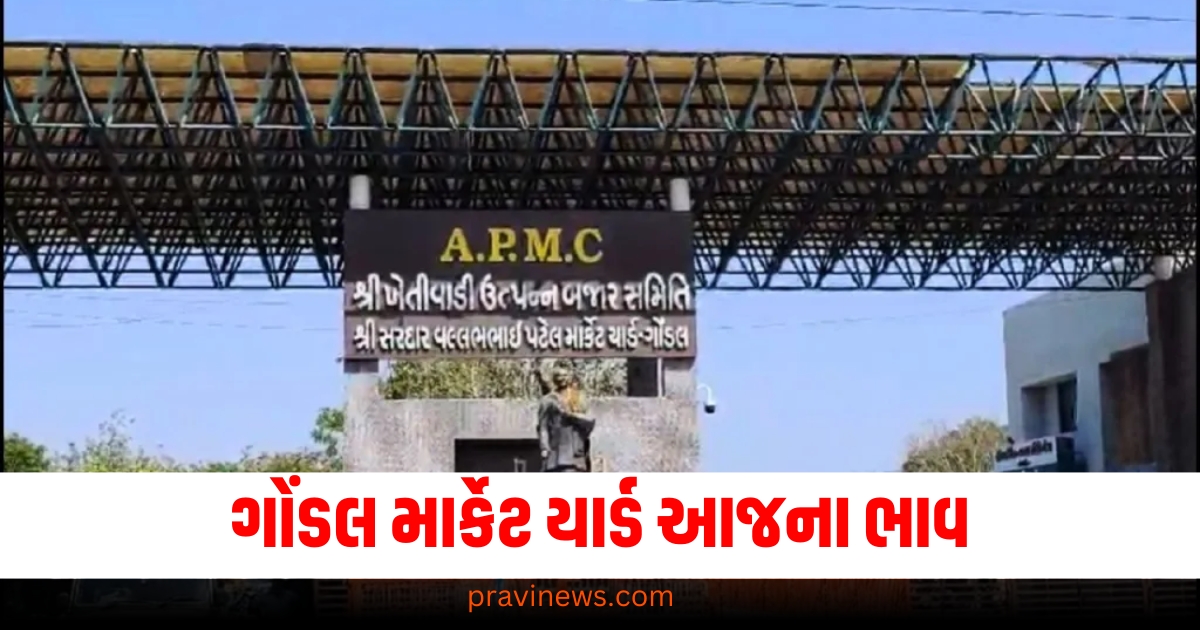 ગોંડલ, માર્કેટ યાર્ડ, આજના ભાવ, Gondal APMC, બજાર,