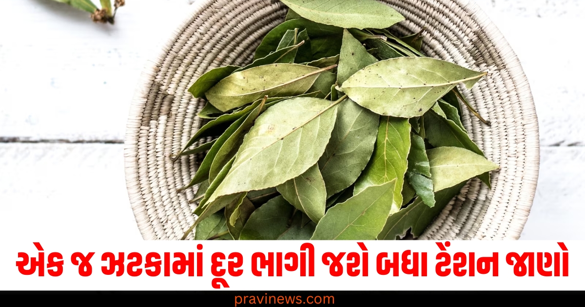 એક જ ઝટકામાં દૂર ભાગી જશે બધા ટેંશન.... , થશે ખુશીઓનો વરસાદ બસ જાણી લો આ રીત https://www.pravinews.com/lifestyle/winter-health-care-blood-pressure-controlling-tips-in-upayo-ki-madad-se-manage-kare-bp-health-news-72188