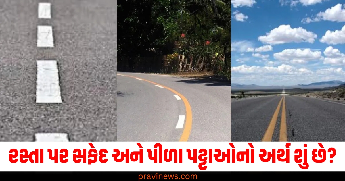 રસ્તા પર સફેદ અને પીળા પટ્ટાઓનો અર્થ શું છે? તેમનું કામ માત્ર બે ભાગમાં વહેંચવાનું નથી. https://www.pravinews.com/world-news-in-gujarati/tejashwi-yadav-bihar-politics-bjp-jdu-link-upcoming-assembly-election-77161