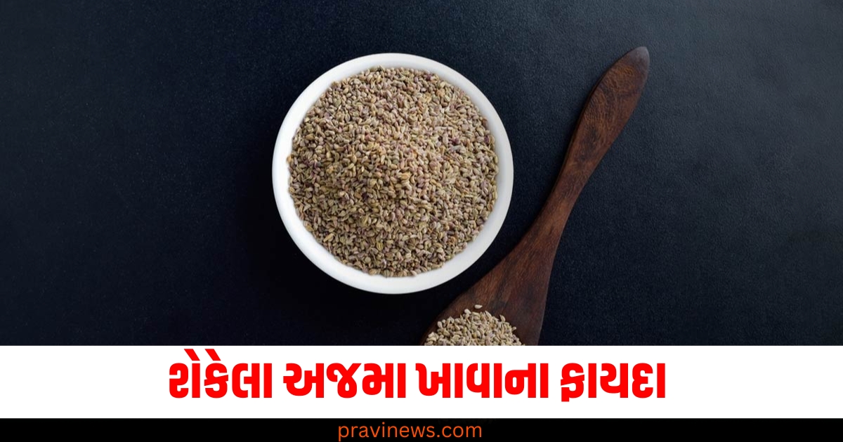 રાતે સુતા પહેલા શેકેલા અજમા ખાવાથી મળશે ગજબના ફાયદા, ઘણી બીમારીઓ ભાગશે દૂર https://www.pravinews.com/lifestyle/fitness-tips-shoulder-pain-free-press-during-exercises-follow-3-steps-79266