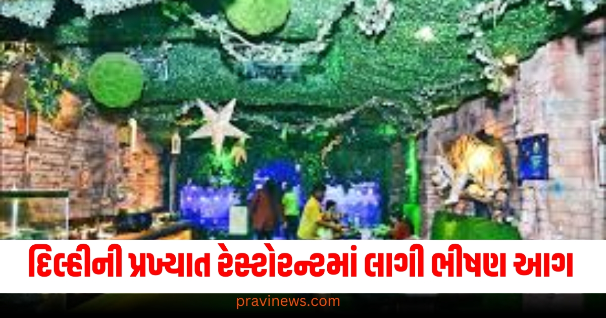 દિલ્હીની પ્રખ્યાત રેસ્ટોરન્ટમાં લાગી ભીષણ આગ, રાજૌરી ગાર્ડન મેટ્રો સ્ટેશનની સામે બની ઘટના https://www.pravinews.com/travel-news/new-delhi-city-ncr-many-trains-including-delhi-to-bhopal-vande-bharat-will-leave-late-see-full-list-68224