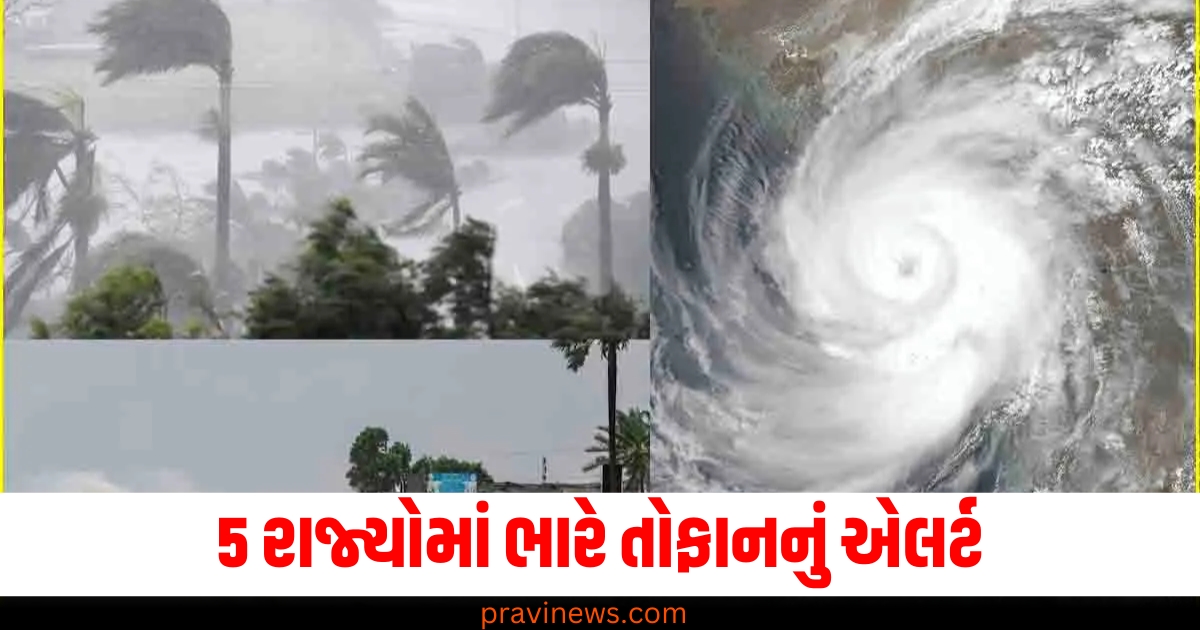 5 રાજ્યો (5 states), ભારે તોફાન (Severe storm), એલર્ટ (Alert), 13 રાજ્યો (13 states), શીત લહેર (Cold wave), ગાઢ ધુમ્મસ (Dense fog), ચેતવણી (Warning),