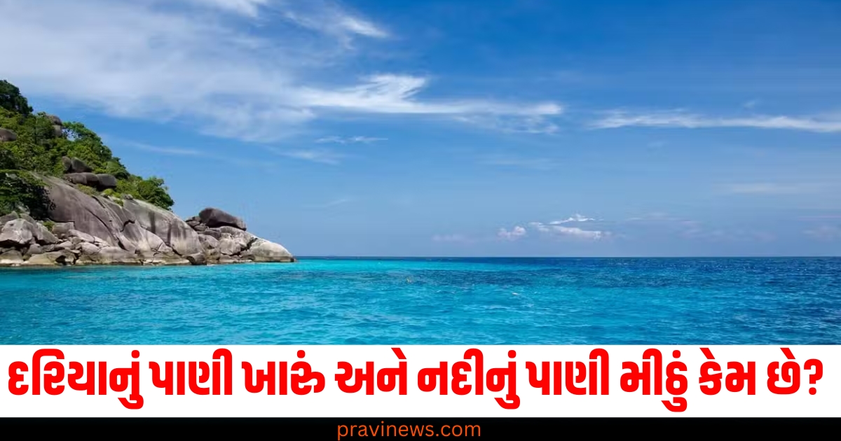 આખરે દરિયાનું પાણી ખારું અને નદીનું પાણી મીઠું કેમ છે? જાણો શું છે આ પાછળનું રહસ્ય https://www.pravinews.com/lifestyle/makoy-benefits-makoy-fruits-many-diseases-away-healthy-skin-desegregation-health-tisp-75589