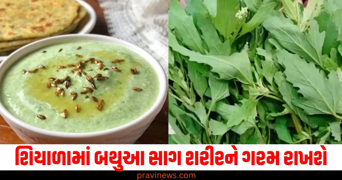 શિયાળામાં બથુઆ સાગ શરીરને ગરમ રાખશે, જાણો સ્મોકી રાયતા બનાવવાની રીત https://www.pravinews.com/international-news/bitcoin-price-surges-beyond-1-lakh-dollar-the-donald-trump-effect-on-cryptocurrency-64008