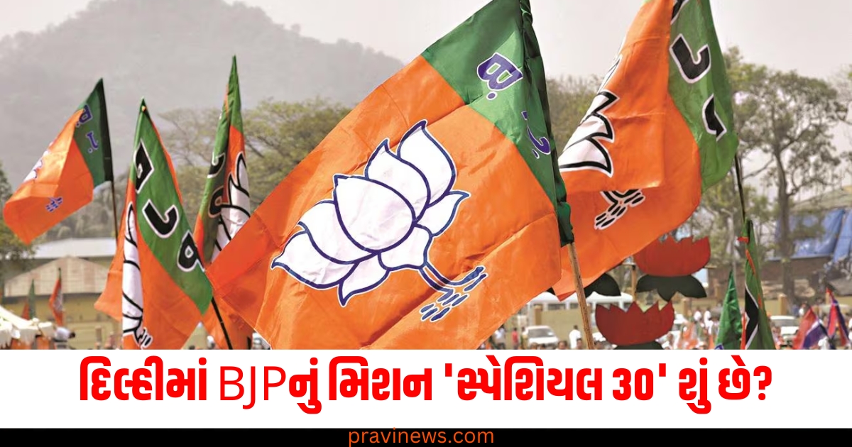 દિલ્હીમાં BJPનું મિશન 'સ્પેશિયલ 30' શું છે? દલિતોની મદદ માટે પાર્ટીની નવી રણનીતિ https://www.pravinews.com/business/tech-guide-aadhaar-card-scam-how-and-where-to-complaint-on-aadhaar-misuse-66450