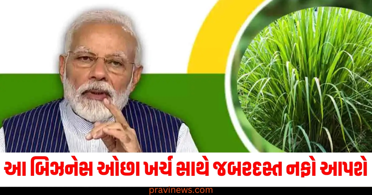 આ બિઝનેસ ઓછા ખર્ચ સાથે જબરદસ્ત નફો આપશે, PM મોદીએ પણ તેની પ્રશંસા કરી https://www.pravinews.com/business/tech-guide-aadhaar-card-scam-how-and-where-to-complaint-on-aadhaar-misuse-66450