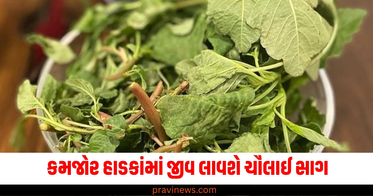 કમજોર હાડકાંમાં જીવ લાવશે ચૌલાઈ સાગ , જાણો તેના અનેક ફાયદા https://www.pravinews.com/entertainment/pushpa-2-fame-rashmika-mandanna-to-nayanthara-here-is-the-list-of-south-actress-famous-in-bollywood-64820