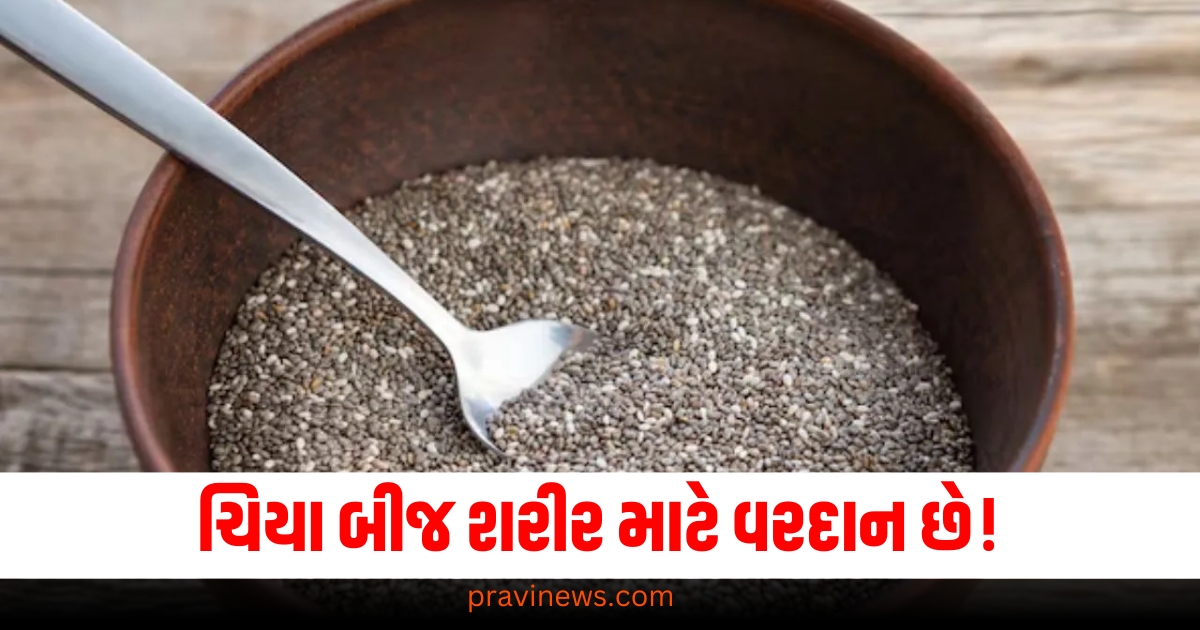 ચિયા બીજ શરીર માટે વરદાન છે! આ 3 બાબતોને તમારા આહારમાં સામેલ કરતી વખતે ધ્યાનમાં રાખો https://www.pravinews.com/lifestyle/health-fitness/chia-seeds-benefits-remember-while-eating-soak-and-consume-your-diet-73544