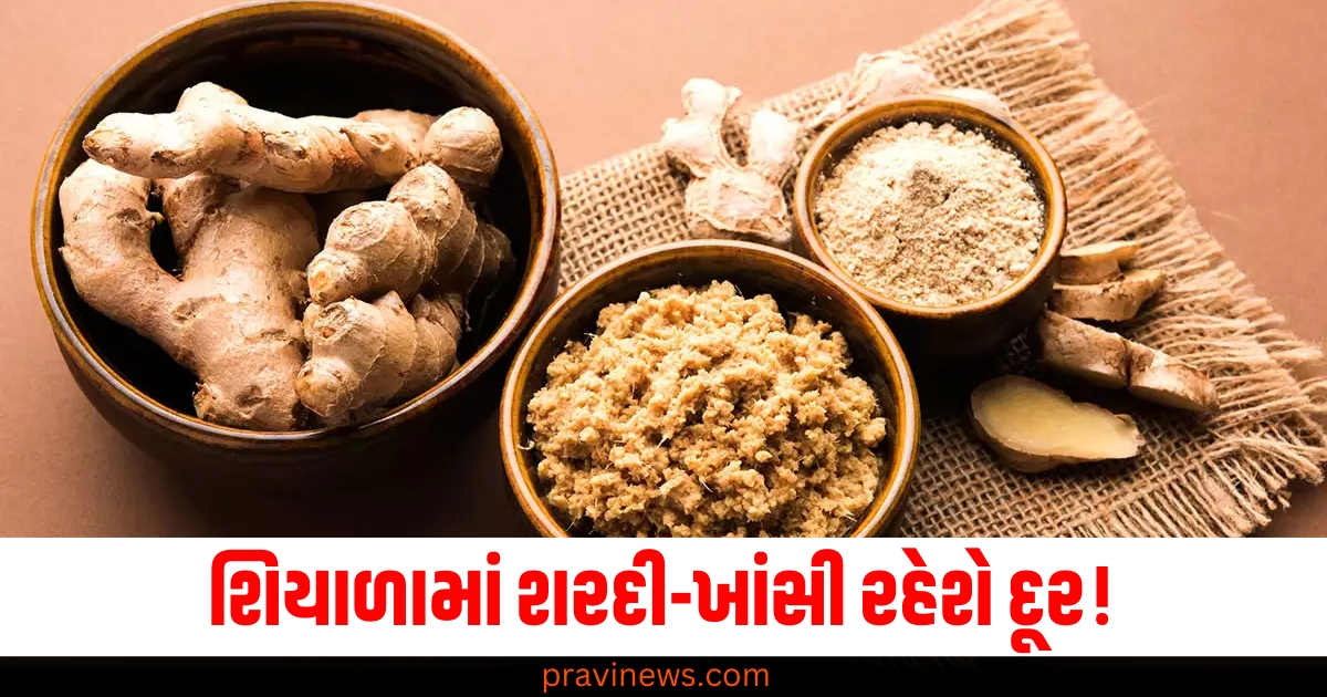 આ રામબાણ ઉપાય અજમાવો, શિયાળામાં શરદી-ખાંસી રહેશે દૂર! https://www.pravinews.com/sports/rohit-sharma-bat-at-number-6-scored-3-runs-ind-vs-aus-2nd-test-64706