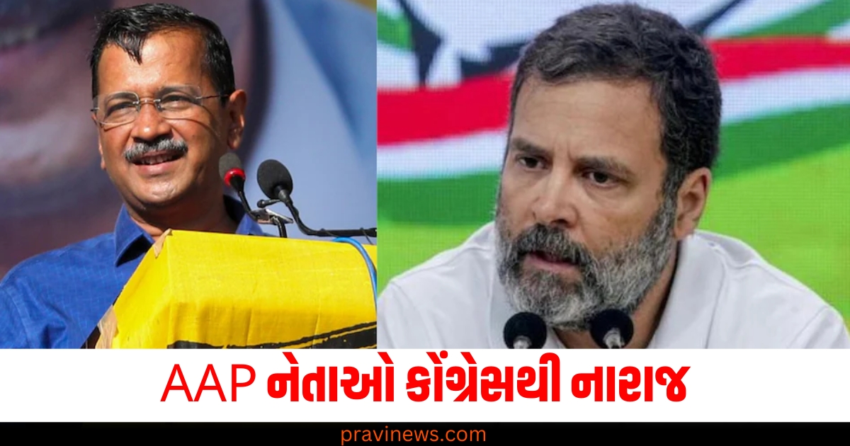 AAP નેતાઓ કોંગ્રેસથી નારાજ; પાર્ટી ઈન્ડિયા એલાયન્સમાંથી કોંગ્રેસને બહાર કરવા માટે વાતચીત કરશે https://www.pravinews.com/gujarat-news/rajkot-apmc-market-price-today-live-updates-26-12-2024-77245