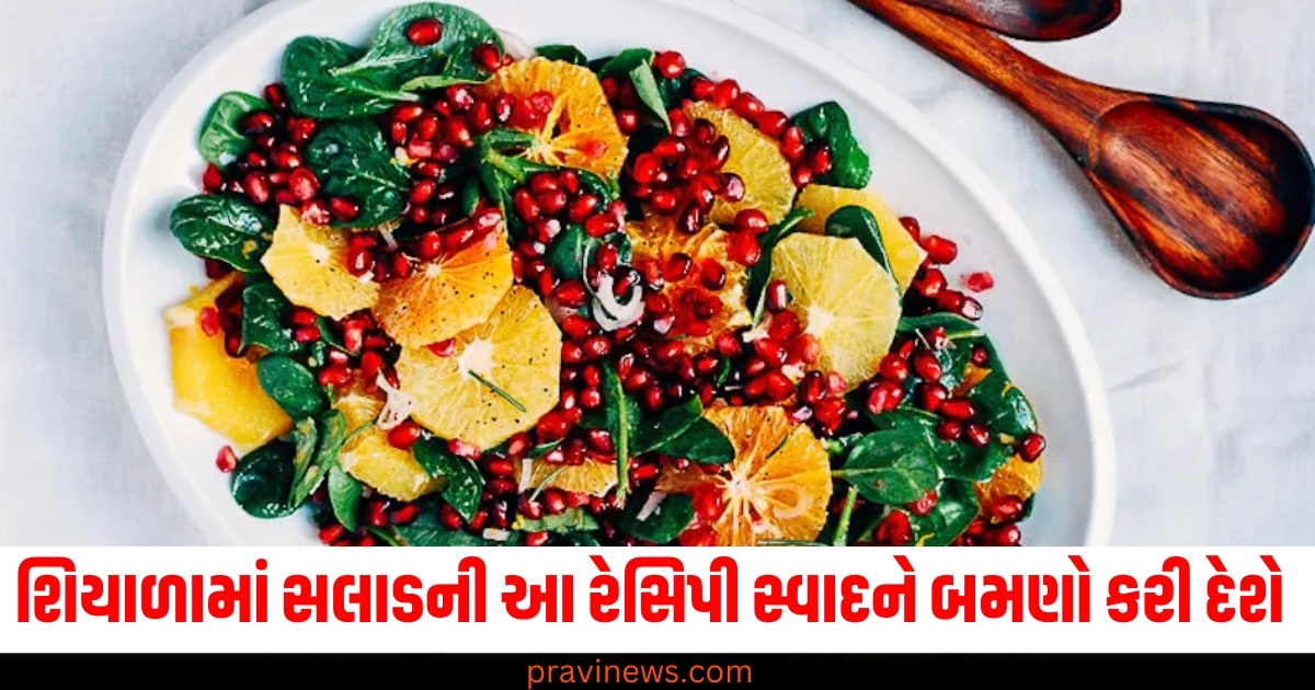 શિયાળામાં સલાડની આ રેસિપી સ્વાદને બમણો કરી દેશે, તમે પણ ટ્રાય કરો. https://www.pravinews.com/lifestyle/10-cancer-causing-foods-to-avoid-health-news-72209