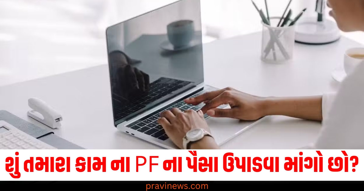 શું તમે પણ કામ કરતી વખતે તમારા PF ના પૈસા ઉપાડવા માંગો છો? તો જાણો તેની રીત https://www.pravinews.com/education/winter-vacation-for-delhi-schools-from-january-1-to-15-check-remedial-class-schedule-here-74087