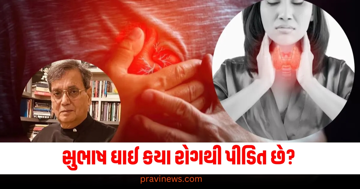 સુભાષ ઘાઈ કયા રોગથી પીડિત છે? તેના પ્રારંભિક સંકેતો શું છે અને તે સ્વાસ્થ્ય માટે કેટલું જોખમી છે? https://www.pravinews.com/business/irctc-website-and-app-are-down-know-why-online-tickets-are-not-being-booked-67021