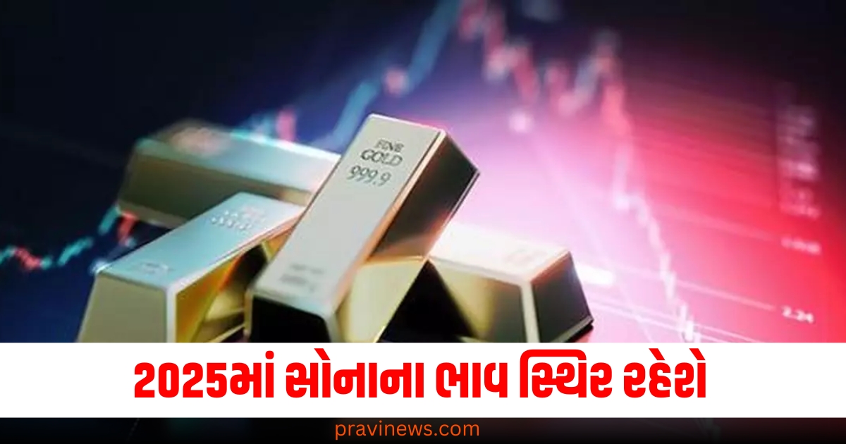 2025માં સોનાના ભાવ સ્થિર રહેશે, વર્લ્ડ ગોલ્ડ કાઉન્સિલનો મોટો દાવો https://www.pravinews.com/lifestyle/do-not-use-these-kind-of-face-cream-in-hindi-which-product-is-not-good-for-skin-70786