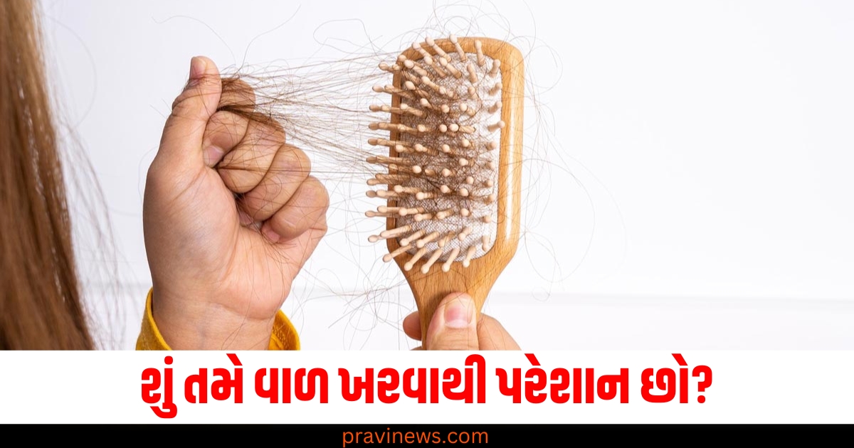 શું તમે વાળ ખરવાથી પરેશાન છો? આ 3 ઘરગથ્થુ ઉપાયો મદદ કરશે https://www.pravinews.com/lifestyle/health-fitness/breast-cancer-causes-new-research-health-facts-symptoms-sanket-lakshan-bachav-prevention-79141