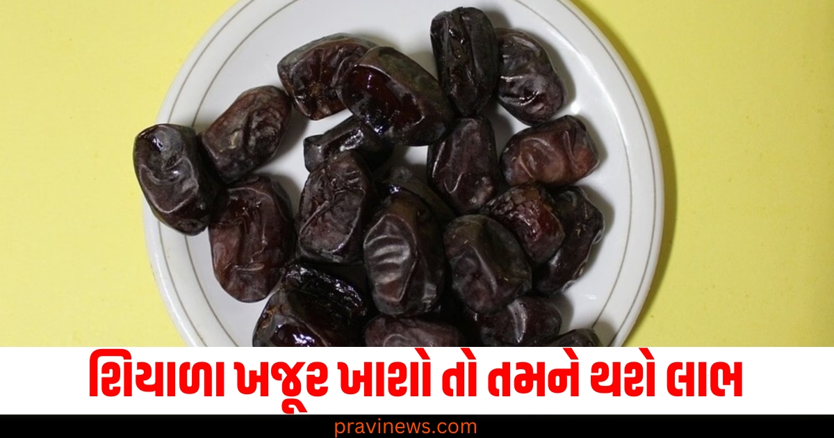 શિયાળા ખજૂર ખાશો તો તમને થશે લાભ ,આ 5 બીમારીઓ રહેશે તમારાથી દૂર https://www.pravinews.com/international-news/other-bangladesh-sheikh-hasina-making-people-enforced-disappearance-yunus-govt-accuses-more-than-3500-missing-70781