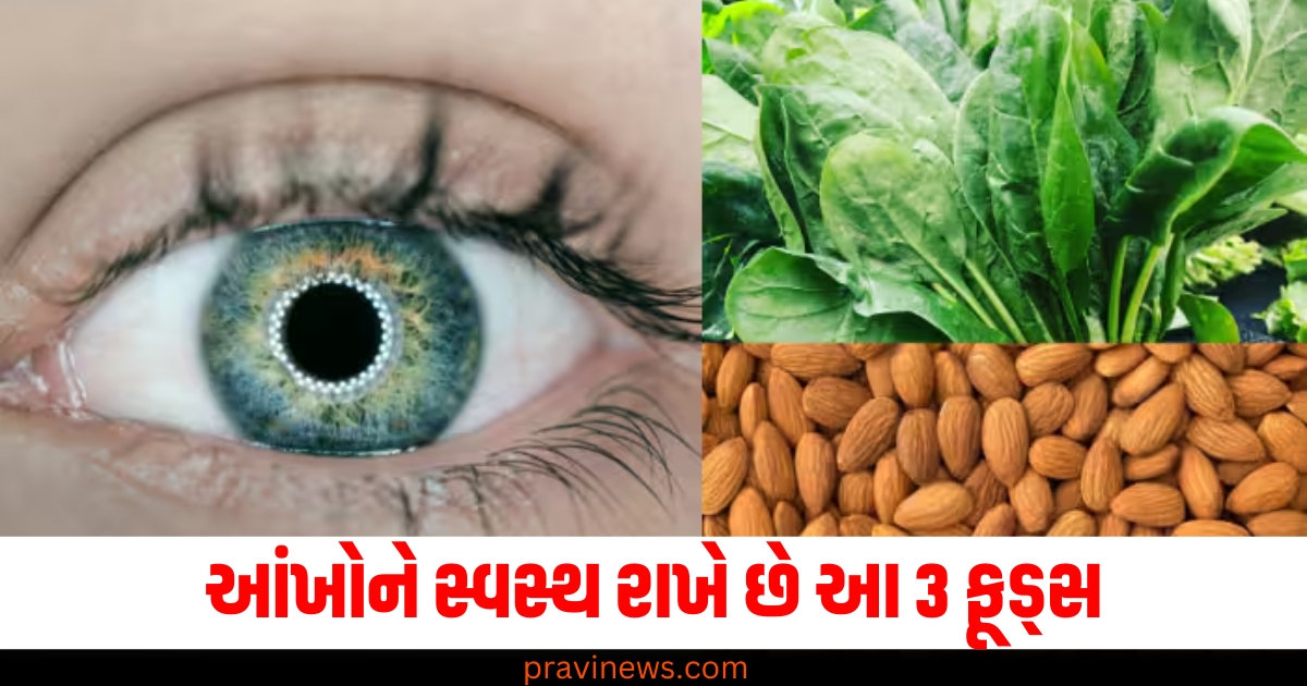 આંખોને સ્વસ્થ રાખે છે આ 3 ફૂડ્સ , ઘણી બીમારીઓ પણ દૂર રહે છે https://www.pravinews.com/tag/%e0%aa%b8%e0%ab%8d%e0%aa%b5%e0%aa%b8%e0%ab%8d%e0%aa%a5