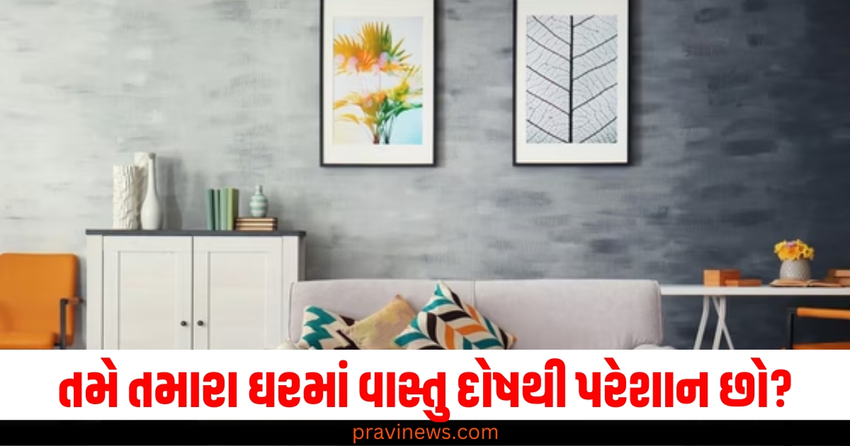 તમે તમારા ઘરમાં વાસ્તુ દોષથી પરેશાન છો? તો આ સાત ઉપાયોથી તરત જ દોષ દૂર કરો. https://www.pravinews.com/business/govt-employees-retirement-age-tejasvi-surya-65836