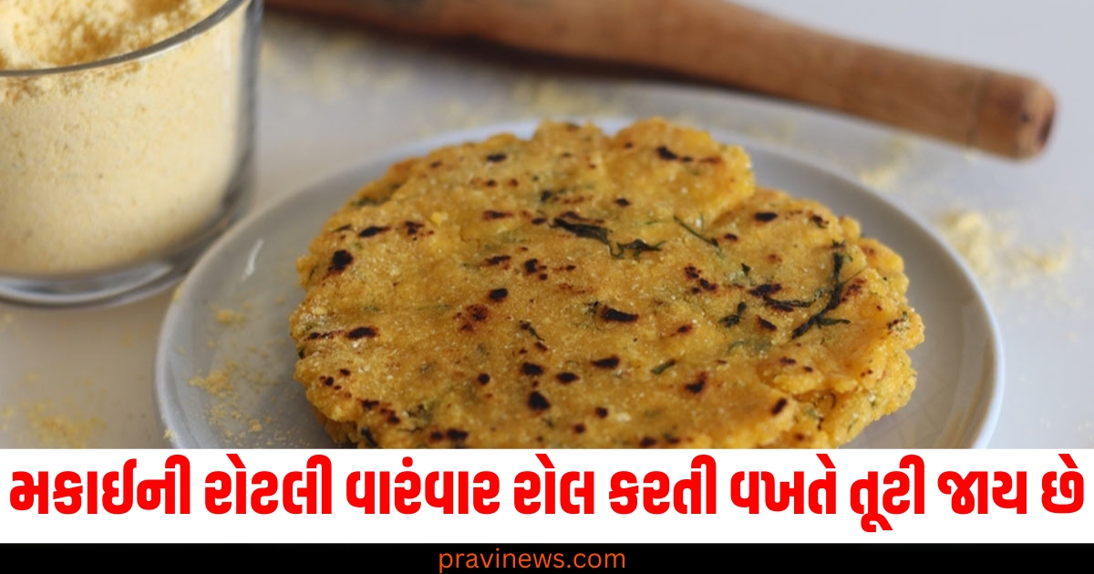 મકાઈની રોટલી વારંવાર રોલ કરતી વખતે તૂટી જાય છે, તેથી તેને આ હેક્સથી સંપૂર્ણ બનાવો https://www.pravinews.com/food/you-should-never-put-turmeric-in-these-vegetables-while-cooking-as-it-can-spoil-taste-78345