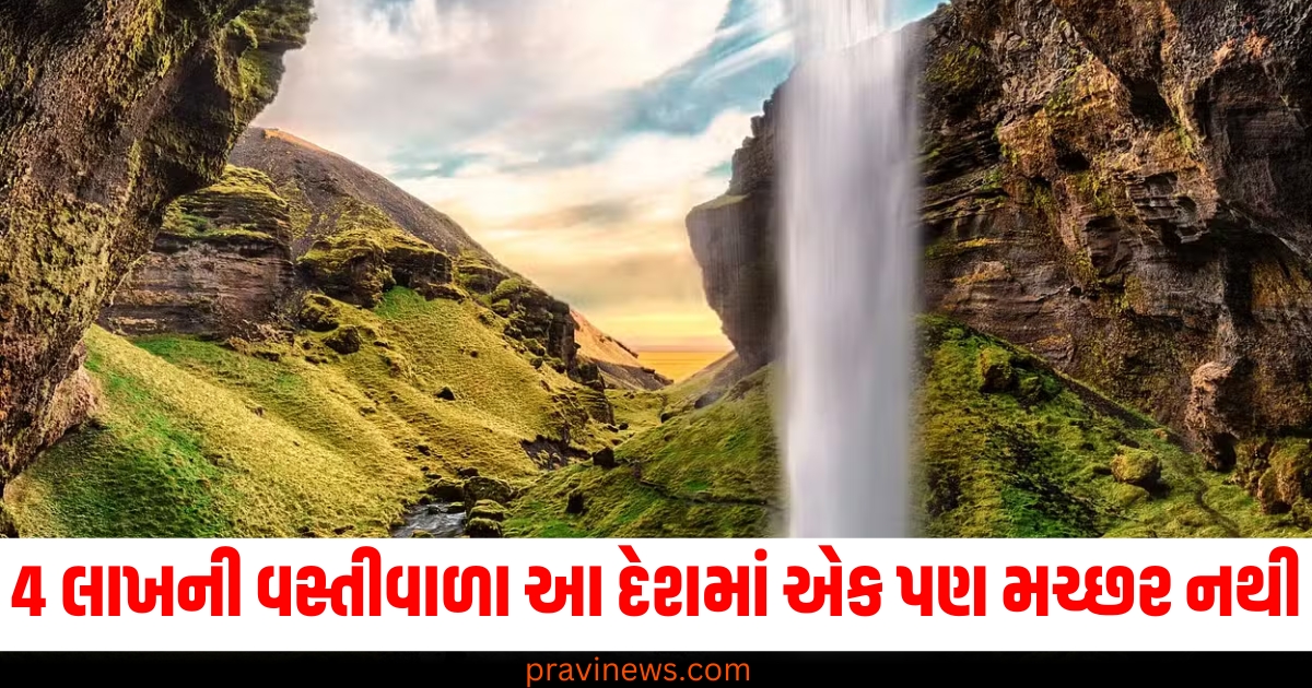 4 લાખની વસ્તીવાળા આ દેશમાં એક પણ મચ્છર નથી, કારણ જાણીને તમે પણ ચોંકી જશો https://www.pravinews.com/entertainment/sooryavansham-to-baghban-animal-vanvaas-bollywood-movies-based-on-father-and-son-relation-and-generation-gap-73949