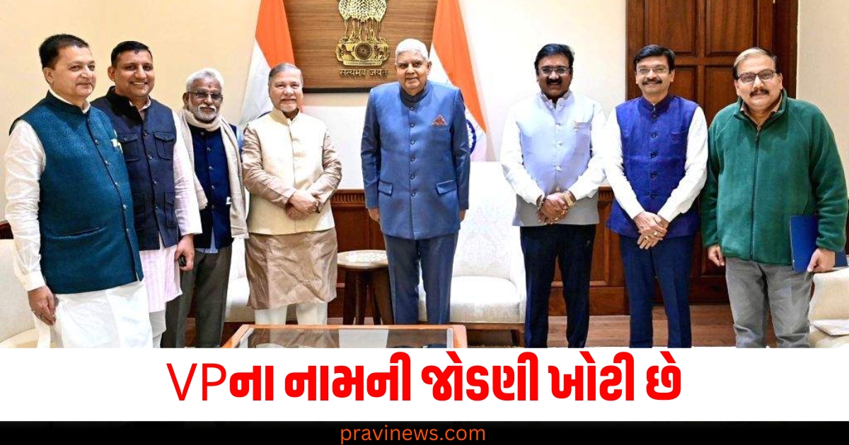 VP (Vice President), જોડણી ખોટી (Incorrect spelling), સરનામું (Address), ઉપાધ્યક્ષ (Deputy Speaker), ધનખર (Dhankar), વિરુદ્ધ (Against),