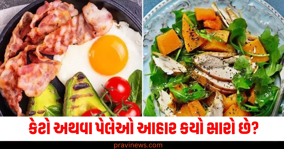 કેટો અથવા પેલેઓ આહાર કયો સારો છે? જાણો શું કહે છે નિષ્ણાતો https://www.pravinews.com/lifestyle/makoy-benefits-makoy-fruits-many-diseases-away-healthy-skin-desegregation-health-tisp-75589